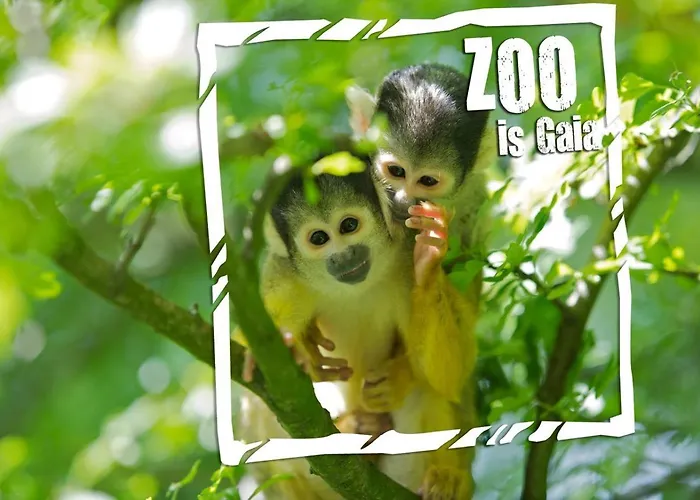 Holiday home Rustig Gelegen Woning In Het Nr 140 *