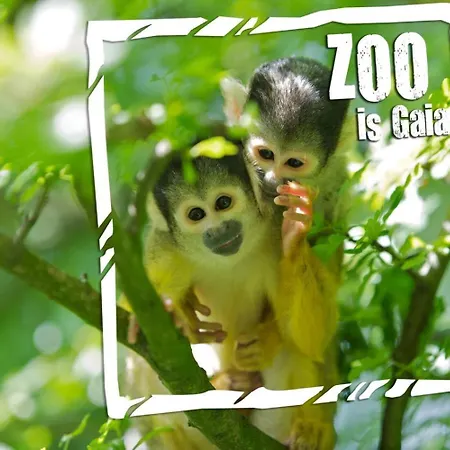 Casa de Férias Rustig Gelegen Woning In Het Nr 140 *